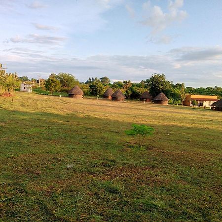 Grassroots Cottages Murchsion Falls Purongo Eksteriør billede