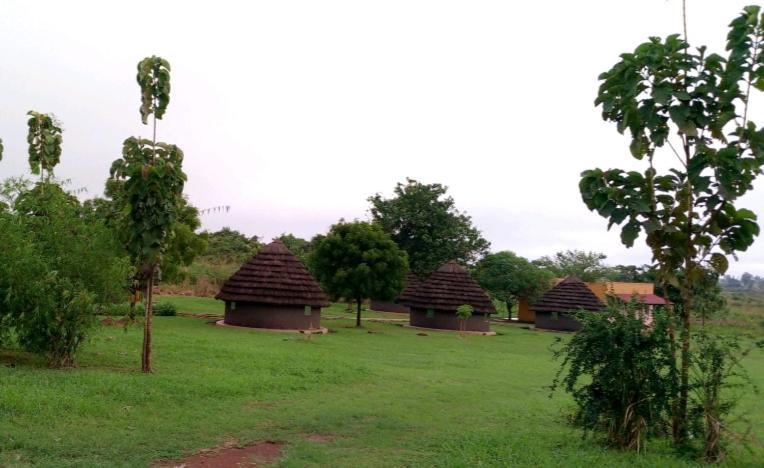 Grassroots Cottages Murchsion Falls Purongo Eksteriør billede