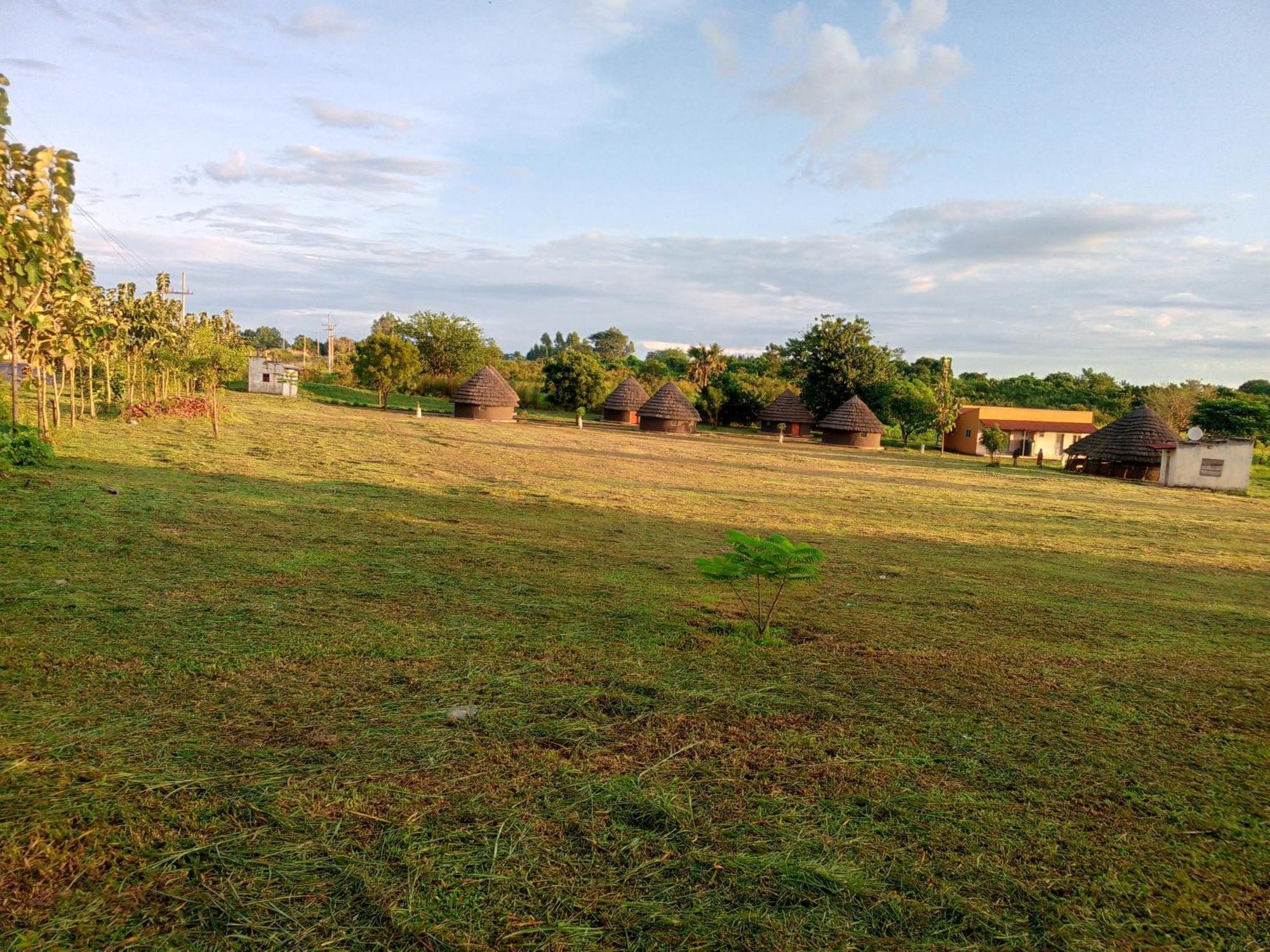 Grassroots Cottages Murchsion Falls Purongo Eksteriør billede