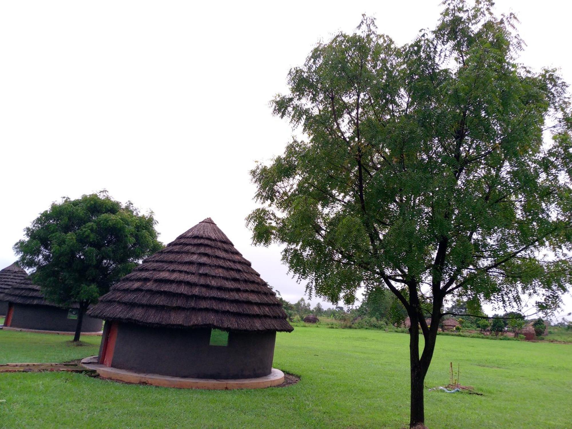 Grassroots Cottages Murchsion Falls Purongo Eksteriør billede